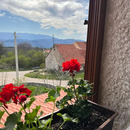 Holiday home Rural Cozy House Gornji Prolozac